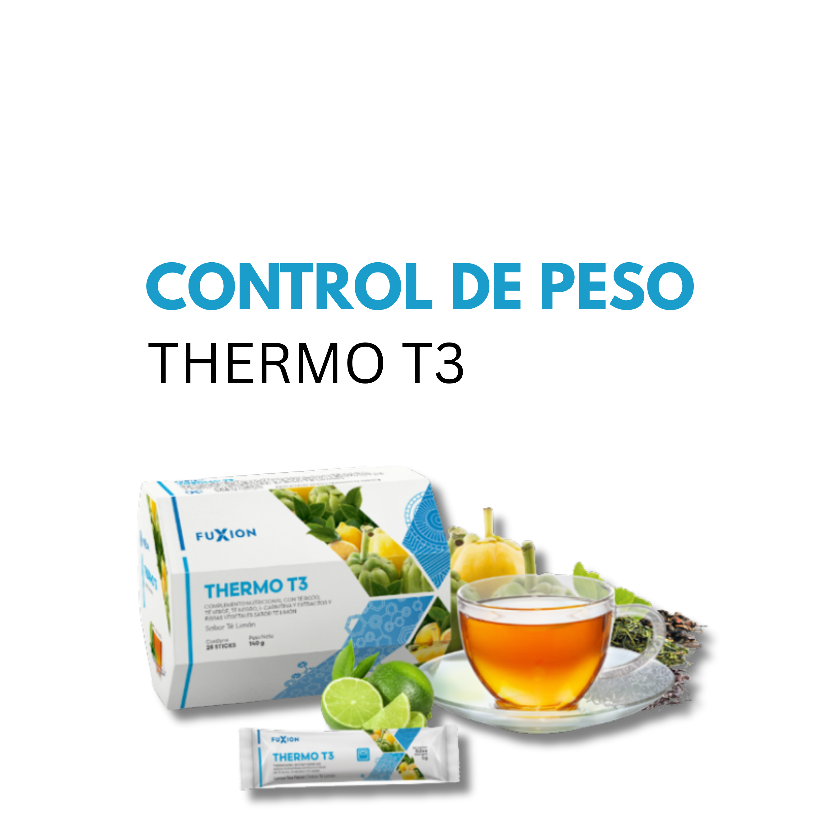 THERMO T3